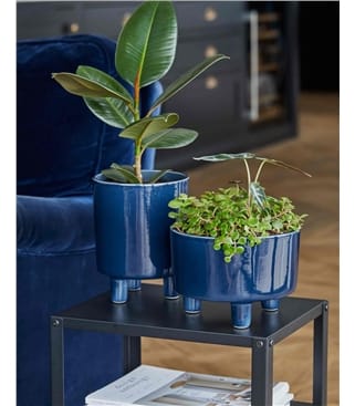 Pisa Indoor Planter