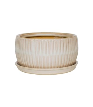 Round Bonsai Planter Set of 2