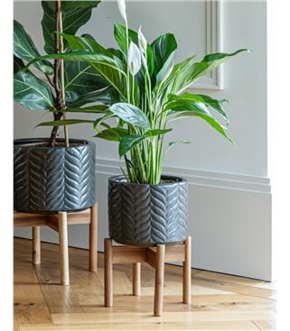 Aspen Chevron Planter Medium
