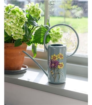 RHS Indoor Watering Can - Asteraceae
