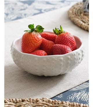 Urchin Ceramic Bowl
