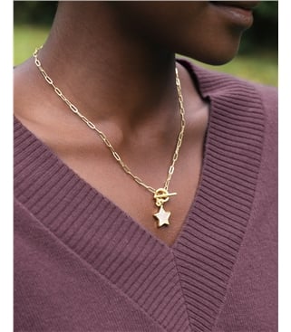 Gold Plated Mother Of Pearl Star Necklace