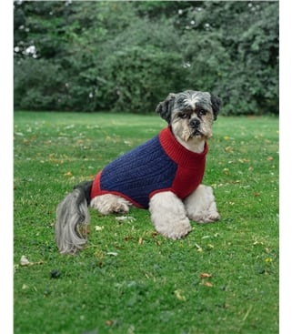 Lambswool Fairisle Knit Dog Jumper