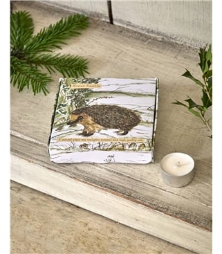 Scented Tealights In Illustrated Box
