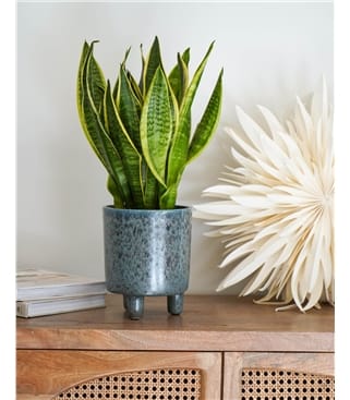 Small Premium Standing Glaze Planter 
