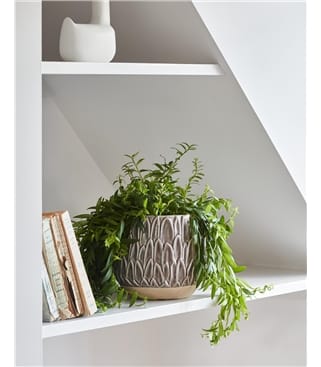 Large Leaf Embossed Planter