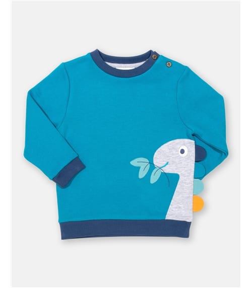 Baby Dino sweatshirt