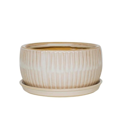 Round Bonsai Planter Set of 2