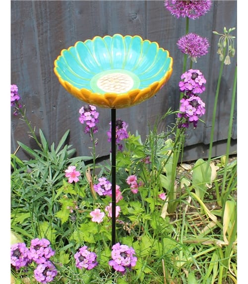 African Daisy Bird Feeder