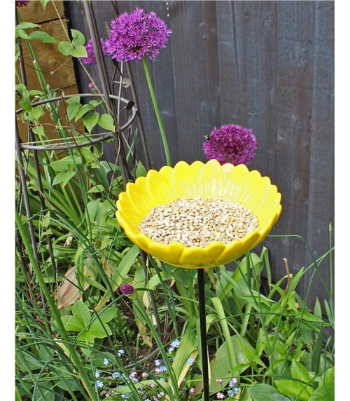 Sunflower Bird Feeder