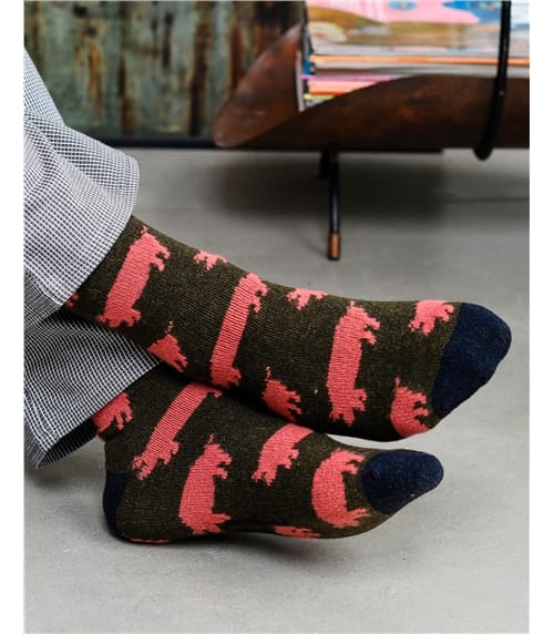 Mens Lambswool Ankle Socks