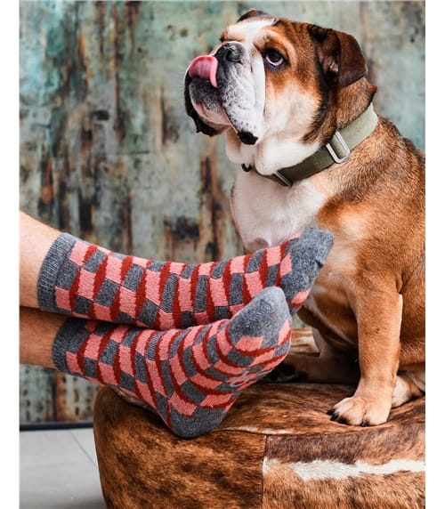 Mens Lambswool Ankle Socks
