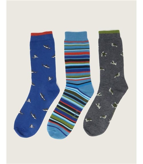 Sea Animal Pack Of 3 Socks