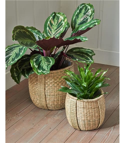 Pando Seagrass Basket set of 2