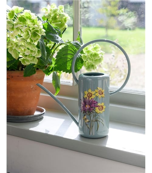 RHS Indoor Watering Can - Asteraceae