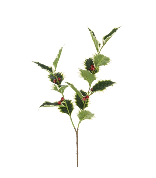 Variegated Holly Spray