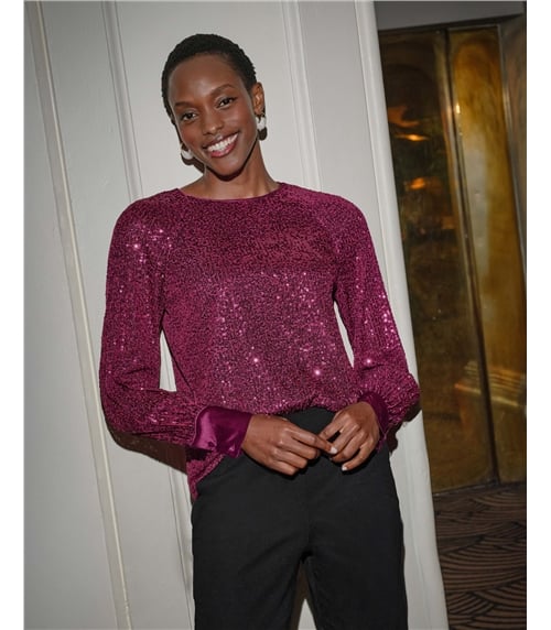 Sequin Balloon Sleeve Top