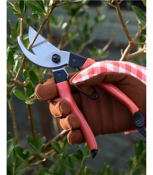 Collectors Bypass Secateurs