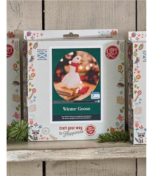 Needle Felting Craft Kit