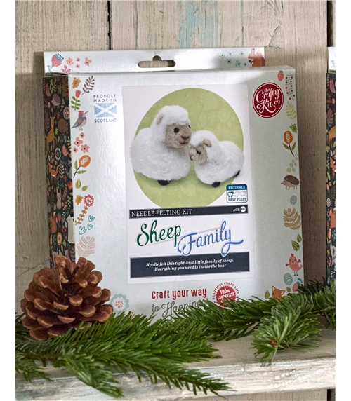 Needle Felting Craft Kit