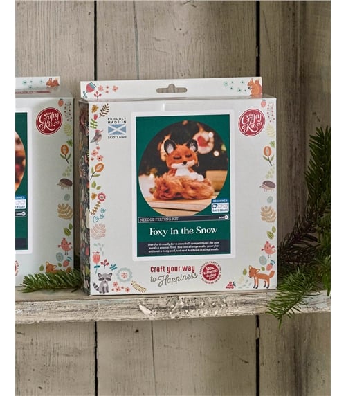 Needle Felting Craft Kit
