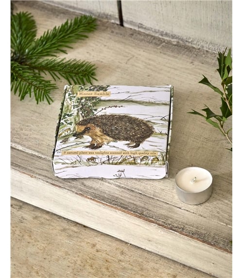Scented Tealights In Illustrated Box
