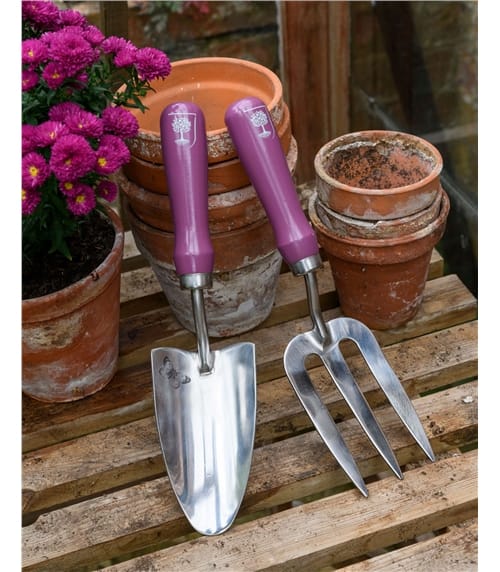 RHS Trowel And Fork - Asteraceae
