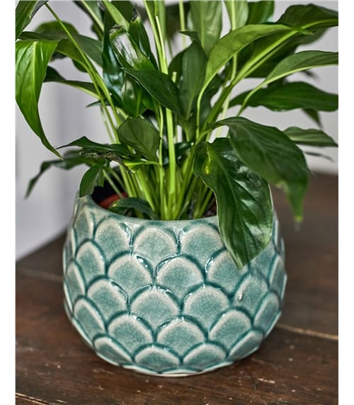 Garden Trading Artichoke Pot Large