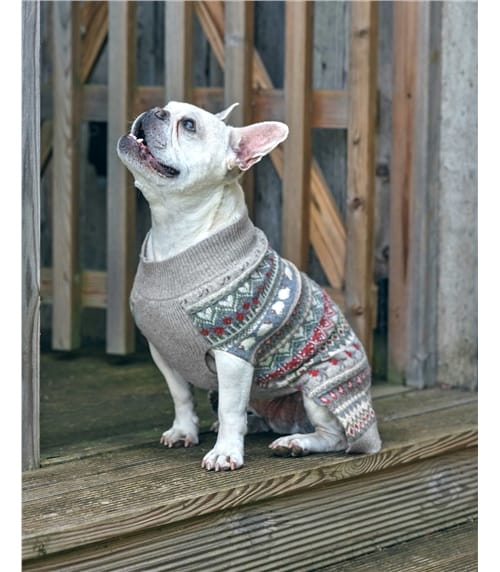 Pull Jacquard pour chien - Pure Laine d'agneau