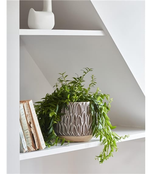 Medium Leaf Embossed Planter