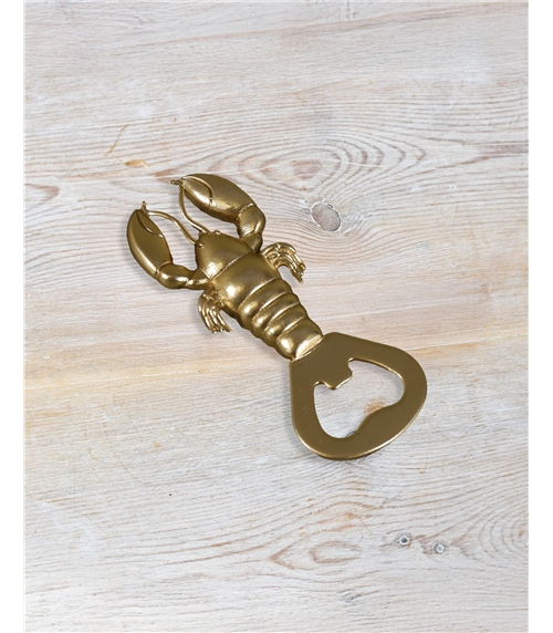 Novelty Bottle Opener
