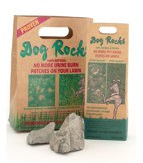 Dog Rocks Bundle