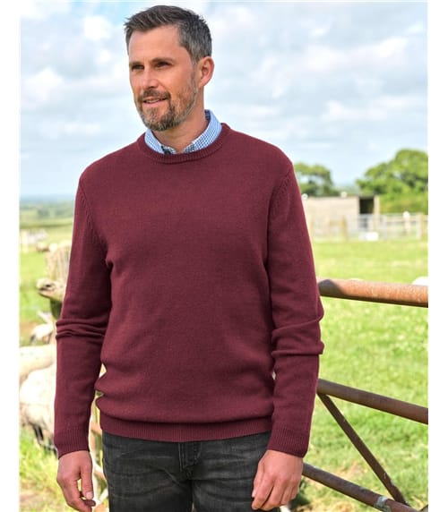 Pull à col rond - Homme - Laine d’agneau certifiée 100% RWS