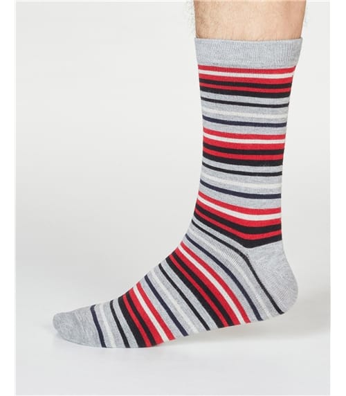 Mens Watson Stripe Socks