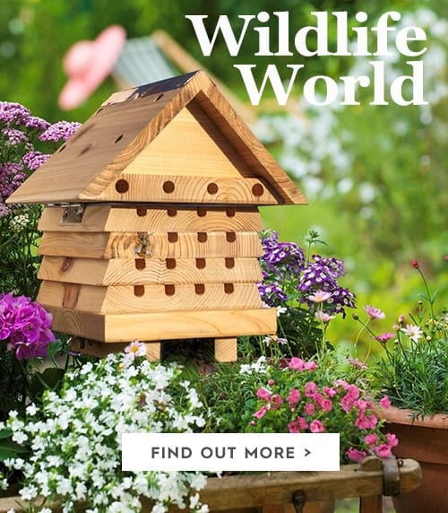 Wildlife World Sweet SÉCURITÉ jardin extérieur Robin & petits oiseaux cabine Nester 