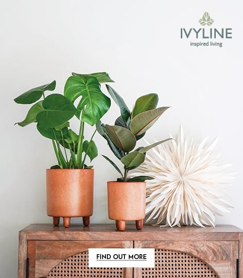 Ivyline