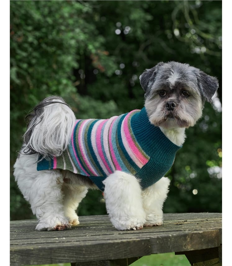 Khaki Pink Stripe | Lambswool Fairisle Knit Dog Jumper | WoolOvers UK