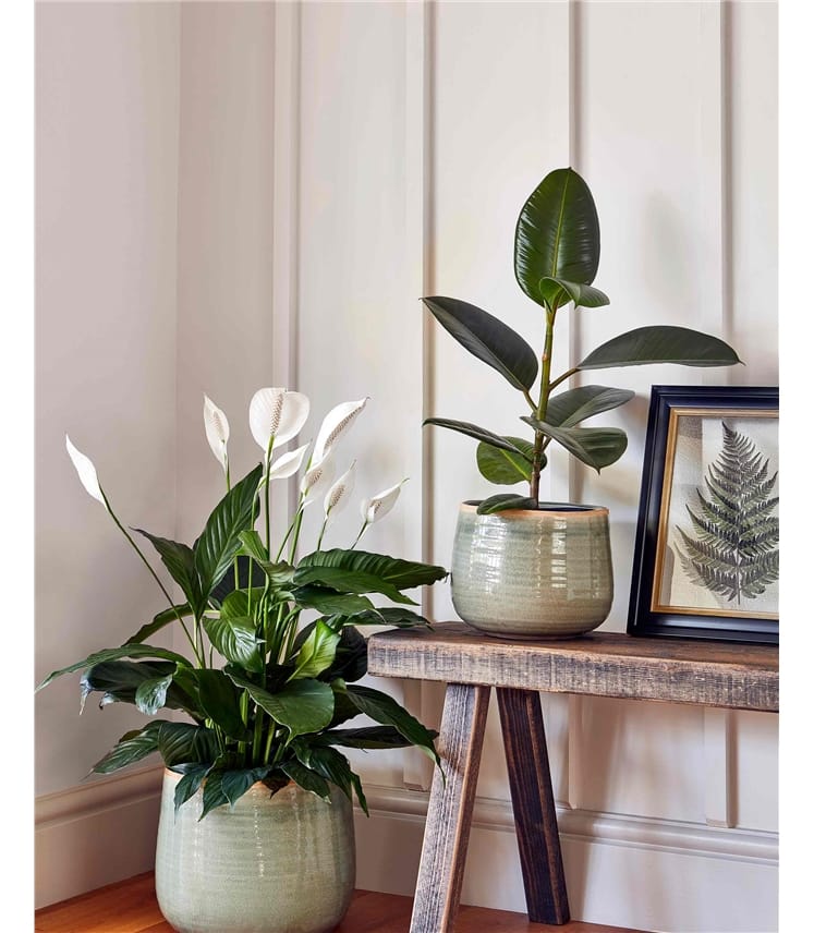 Como Indoor Plant Pot