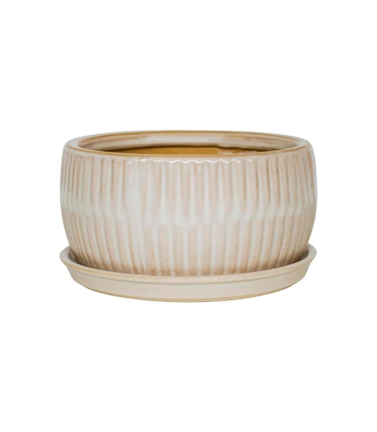 Round Bonsai Planter Set of 2