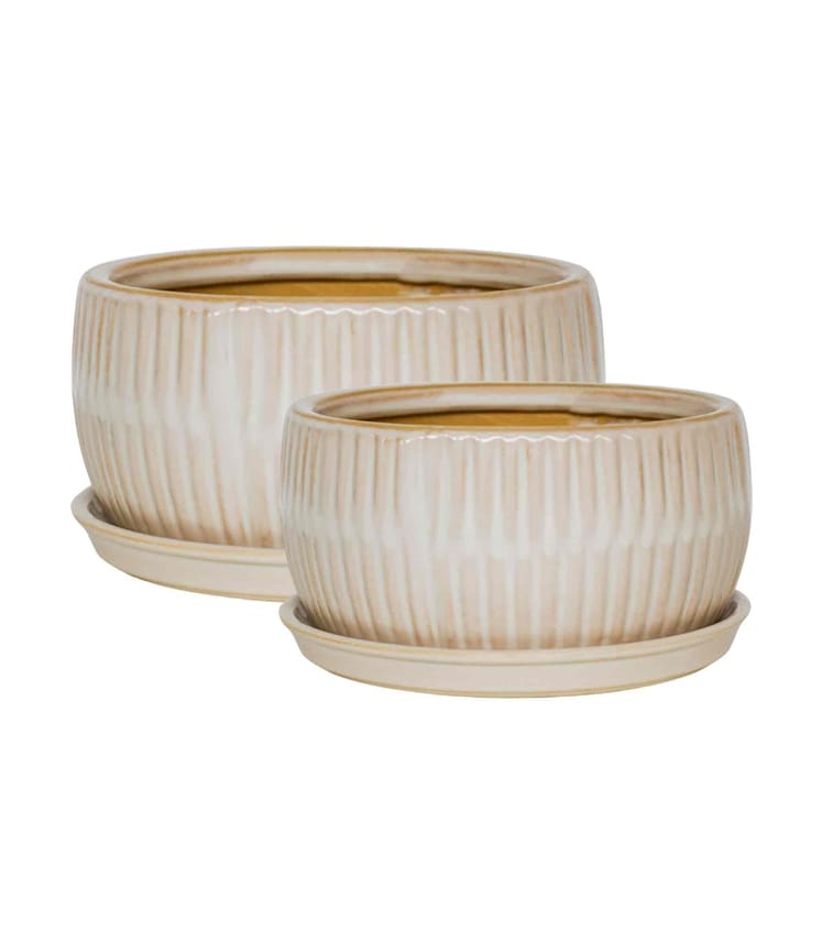Round Bonsai Planter Set of 2