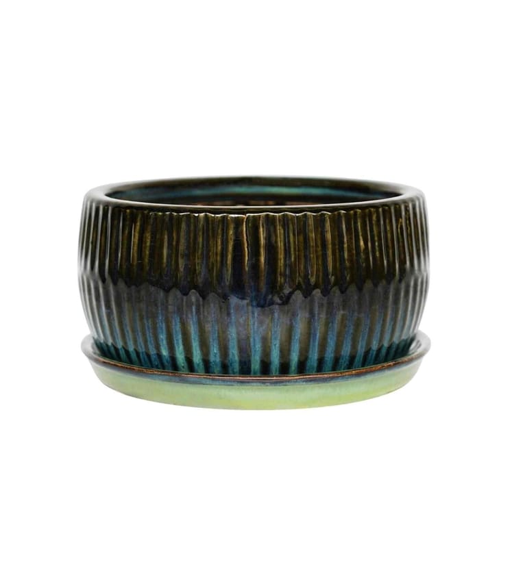 Round Bonsai Planter Set of 2
