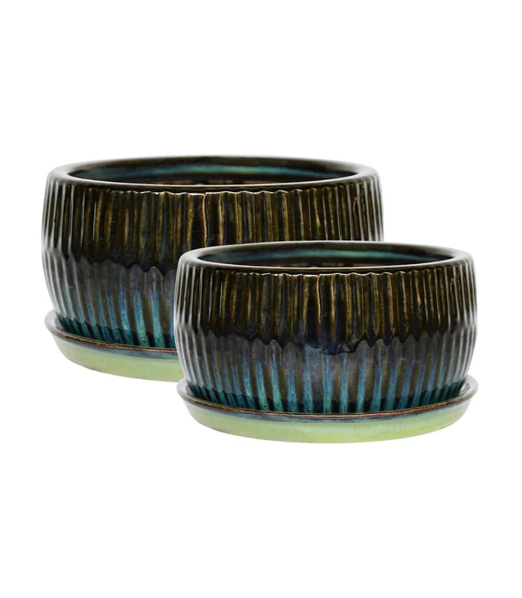 Round Bonsai Planter Set of 2