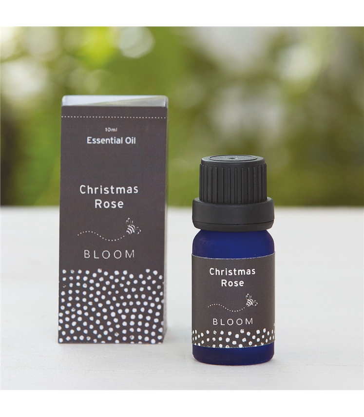 Christmas Rose Essential Oil