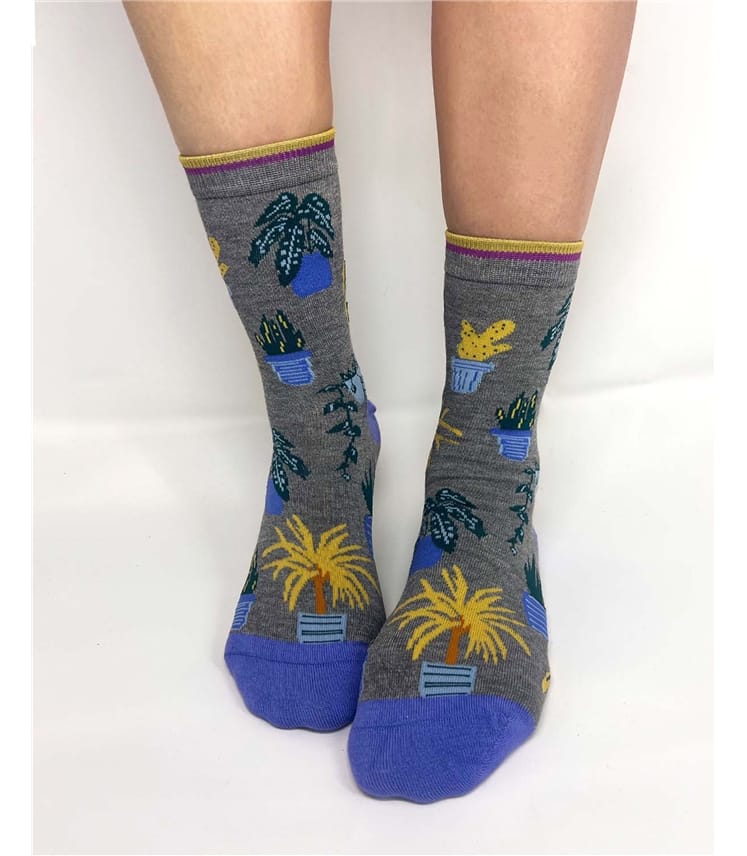 Socken im Geschenkbeutel (2 Paar), Topfpflanze – Dracaena
