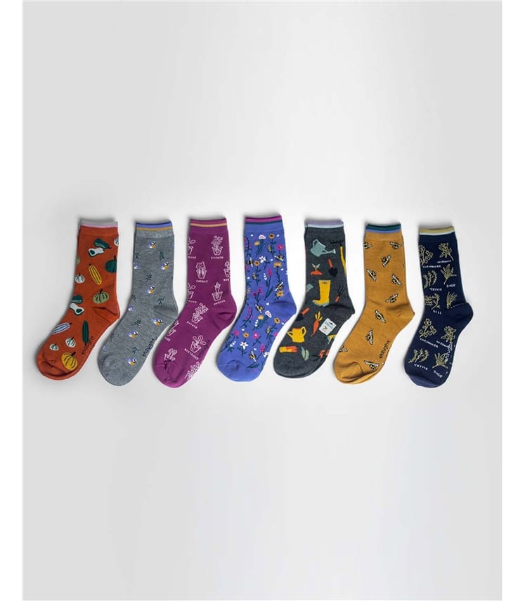Ginney Patterned Bamboo 7 Pack Sock Gift Box