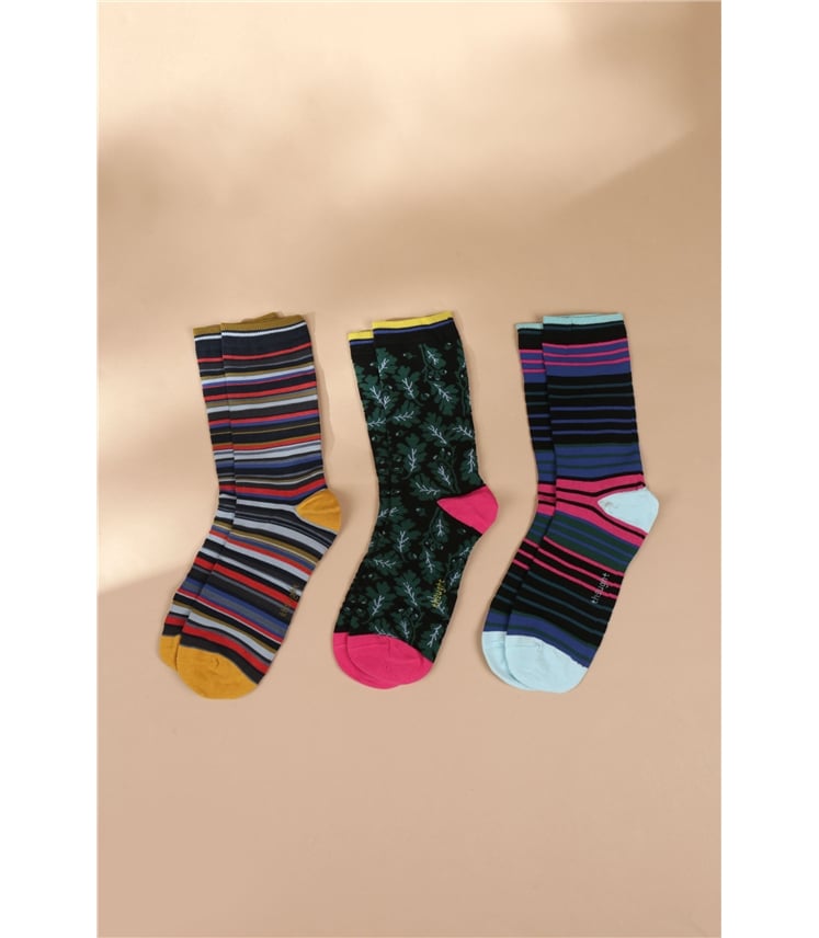 Daly Forest Adventure Bamboo 7 Sock Gift Box