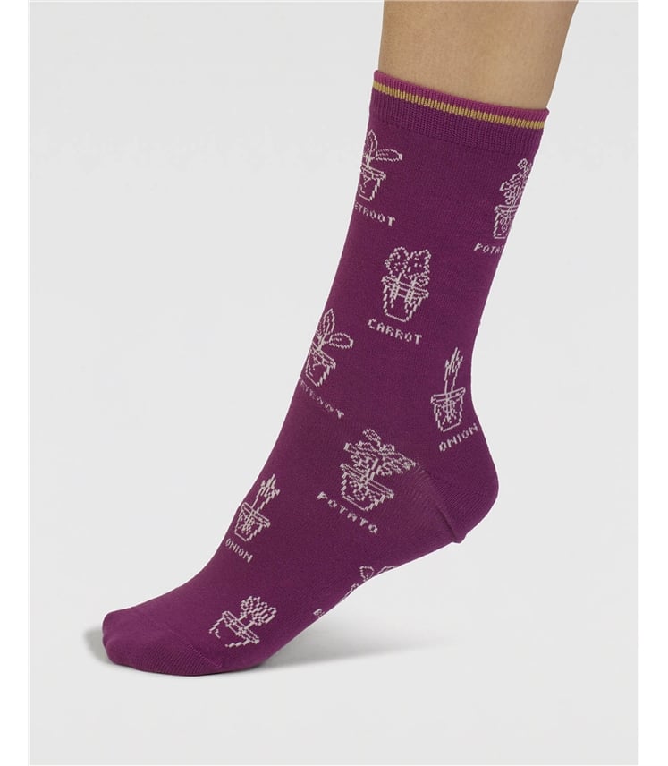 Womens Ginney Patterned 7 Pack Sock Gift Box