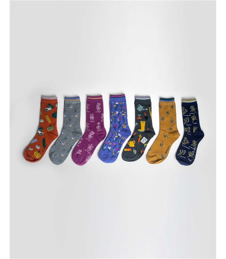 Womens Ginney Patterned 7 Pack Sock Gift Box