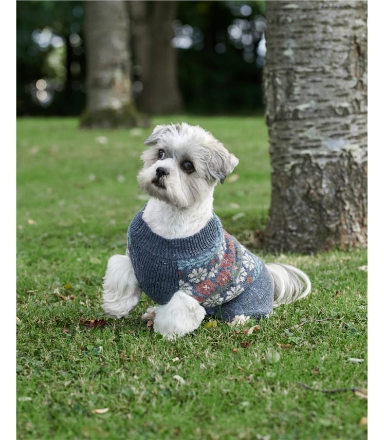 Pull Jacquard pour chien - Pure Laine d'agneau