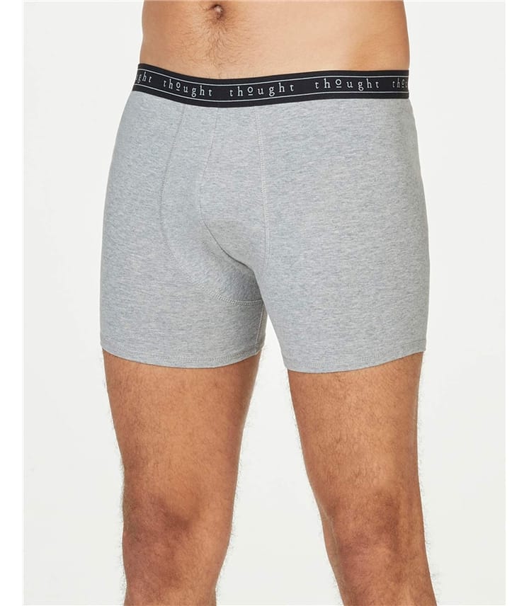 Organic Cotton Boxers
